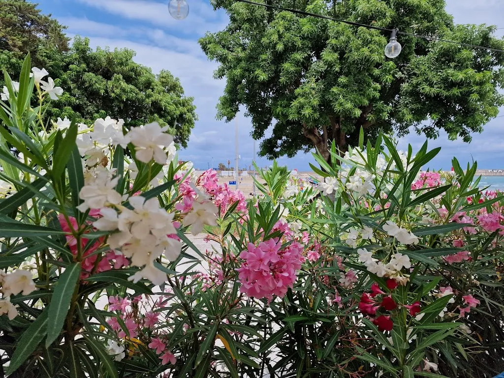 Karen Oswin_FREXES_Benicarló_recensione