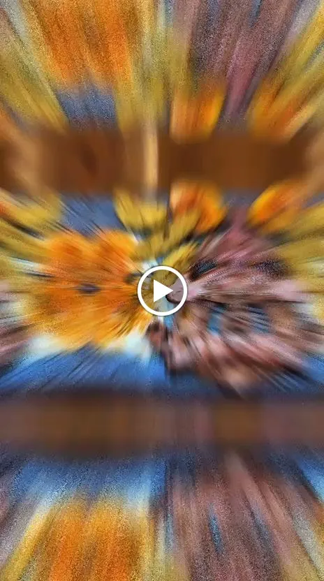 Restaurante Casa Fran_Castellón de la Plana/Castelló de la Plana_slider_image_2