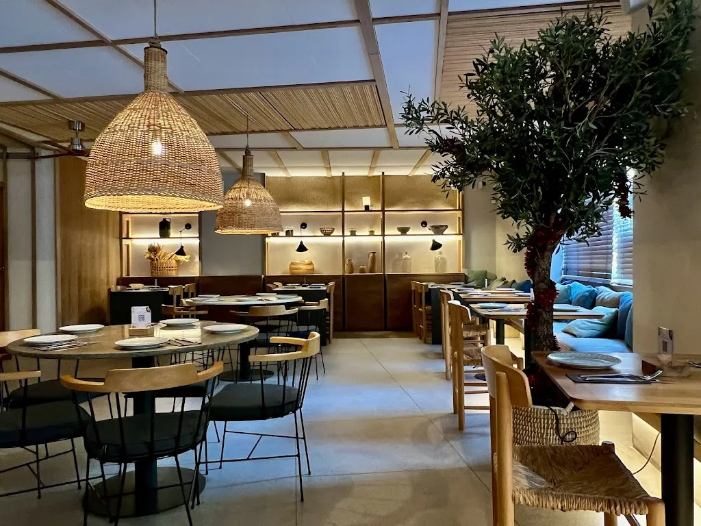 Sandor Meszaros_Saona Castellón_Castellón de la Plana/Castelló de la Plana_review