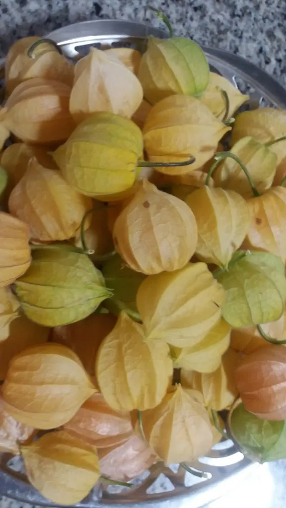 Menu_Mesón Naty_Boimorto_image_3