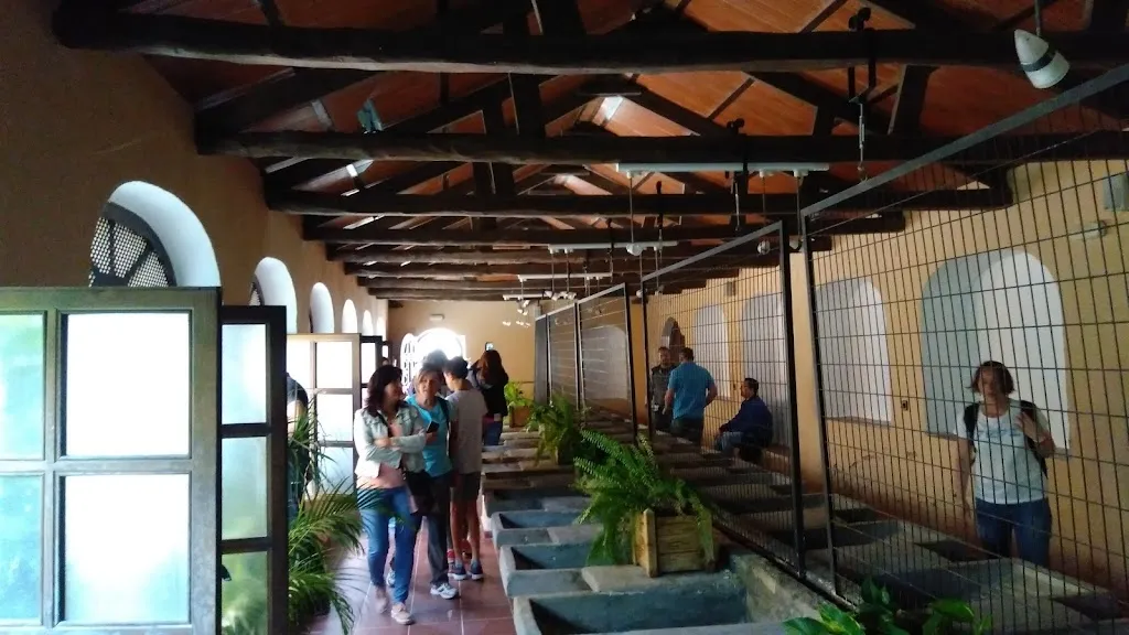 El Ramblón Café_Liétor_slider_image_3