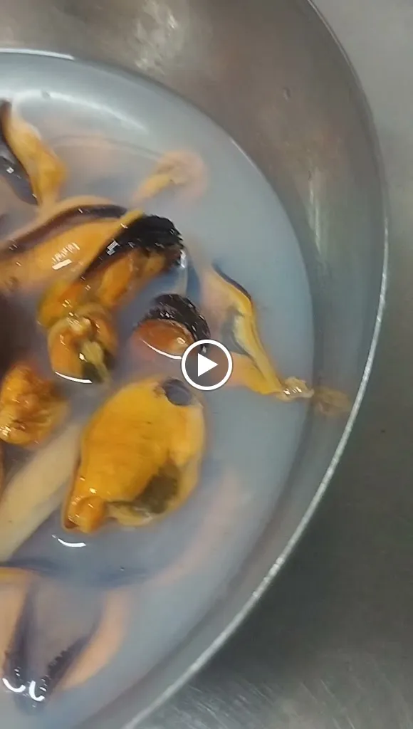 Bar -Restaurante Dónde María José_Onda_slider_image_2