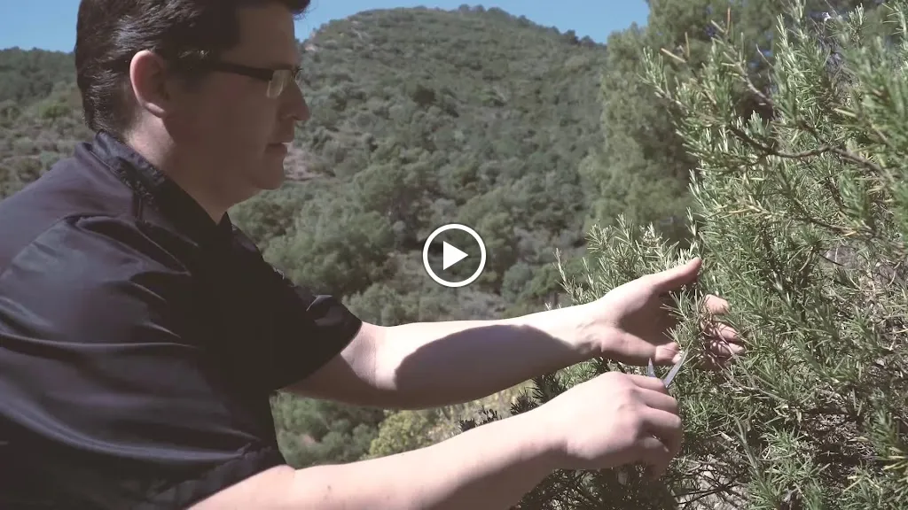 Restaurante Toledo / En Onda, Castellón_Onda_slider_image_2