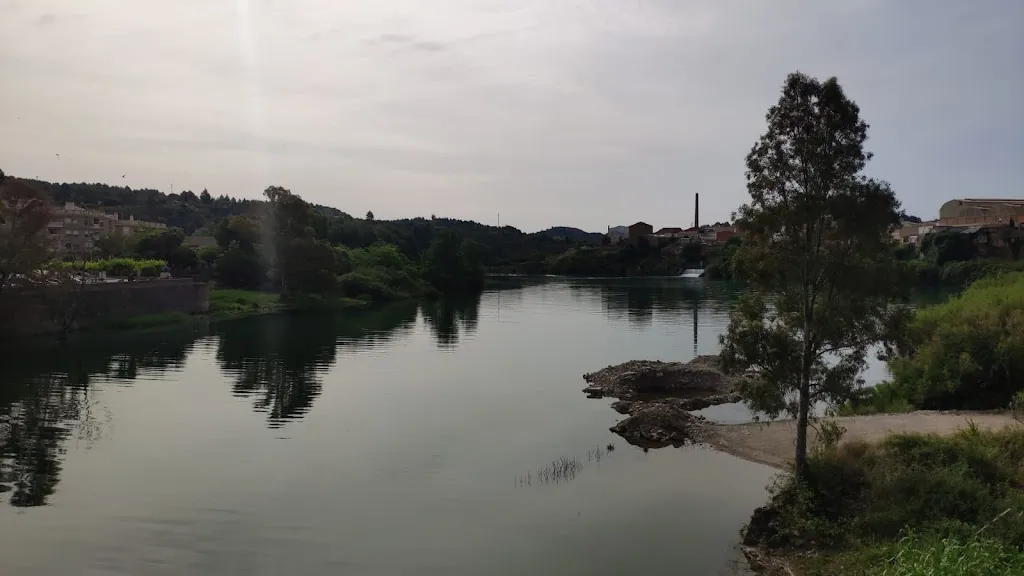 Jose Luis_Bar Cafetería ELS XOPS_Ribesalbes_review