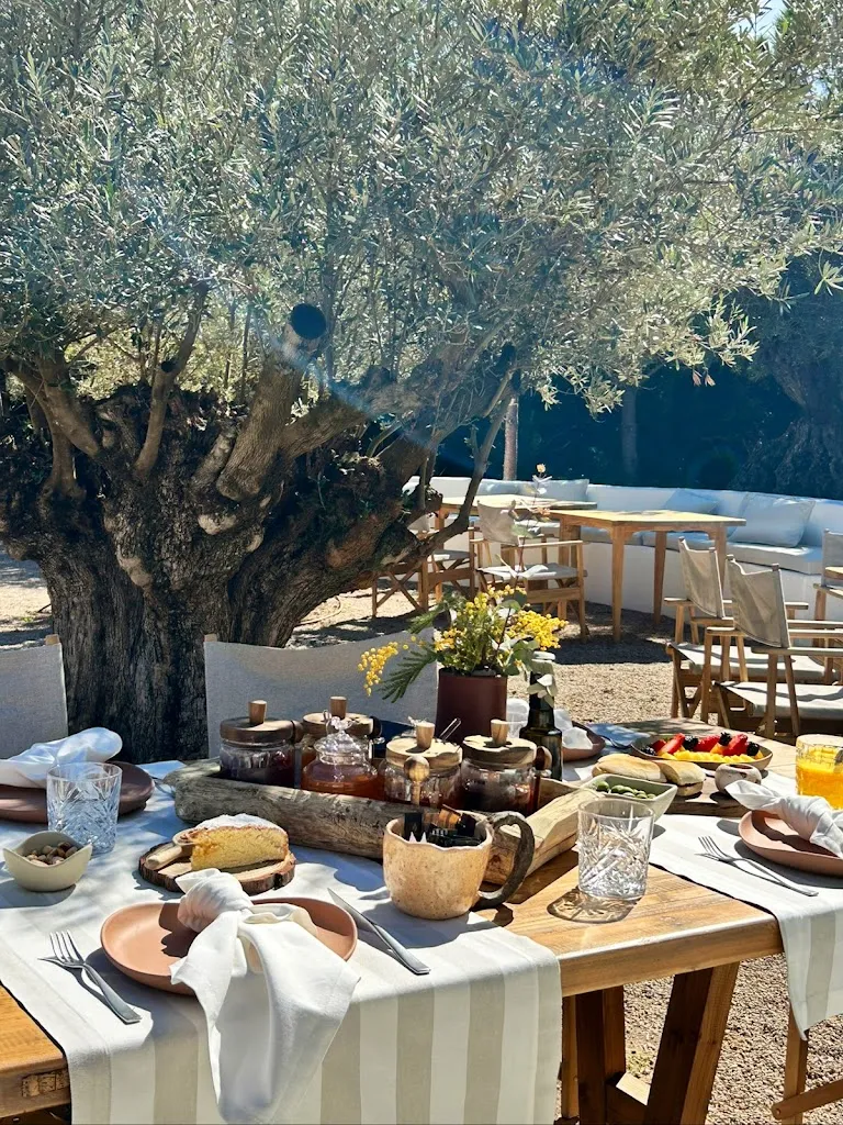 Masía Bellver restaurant in Oropesa del Mar/Orpesa