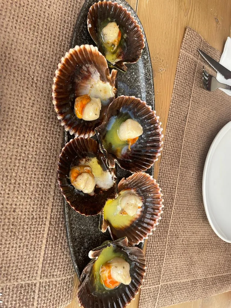 Menu_Camino De Santiago Restaurante Sin Gluten_Peníscola/Peñíscola_immagine_9