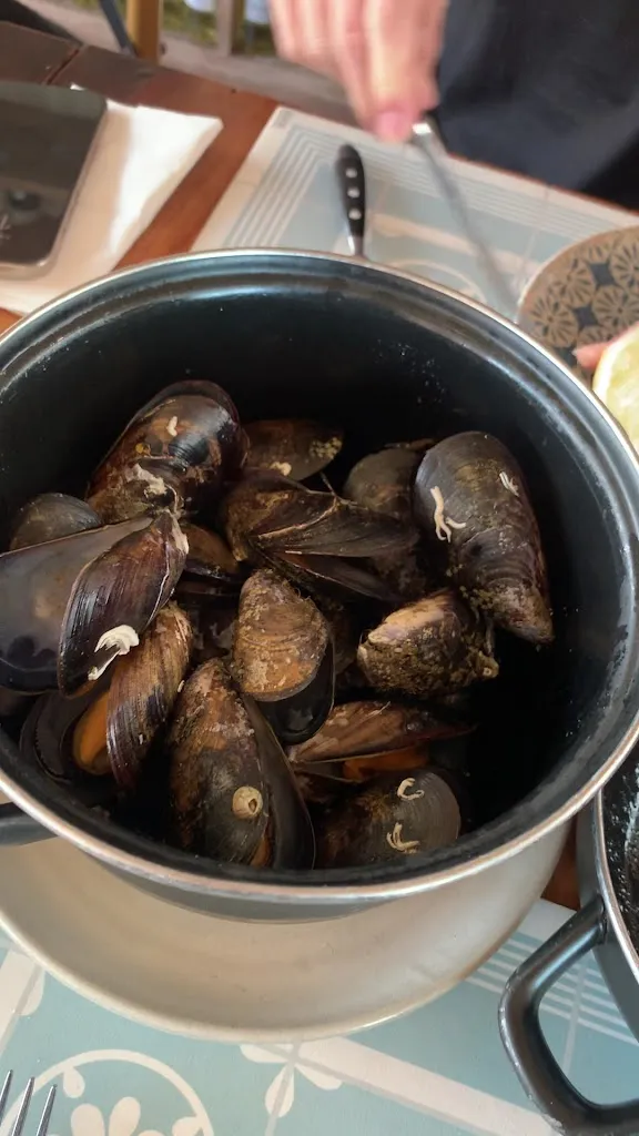 C_La Mar Salá_Peníscola/Peñíscola_review