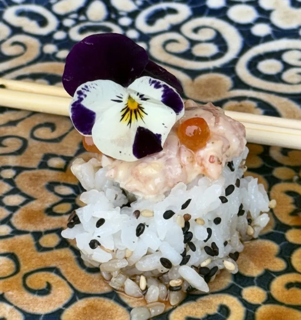 Faire to Middlin_Mandarina Club_Peníscola/Peñíscola_review