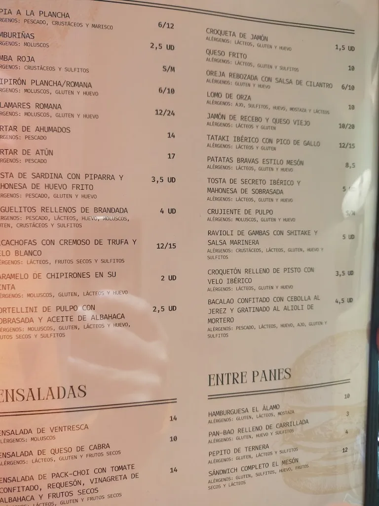 Menu_Mesón El Álamo._Fuente-Álamo_immagine_3