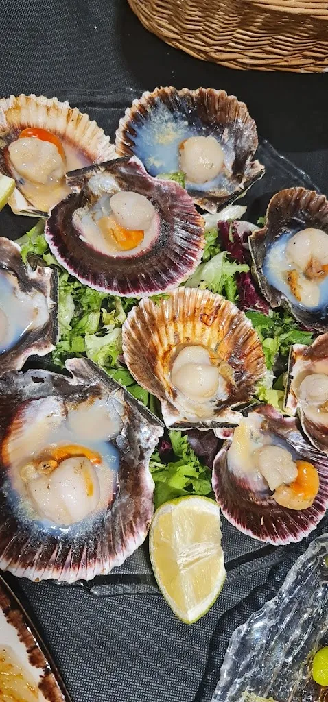 Menu_Mesón El Álamo._Fuente-Álamo_immagine_7