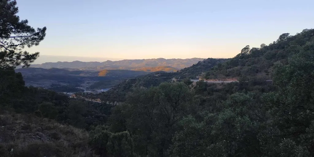 Margarett Revo_Bar Tema_Sot de Ferrer_recensione