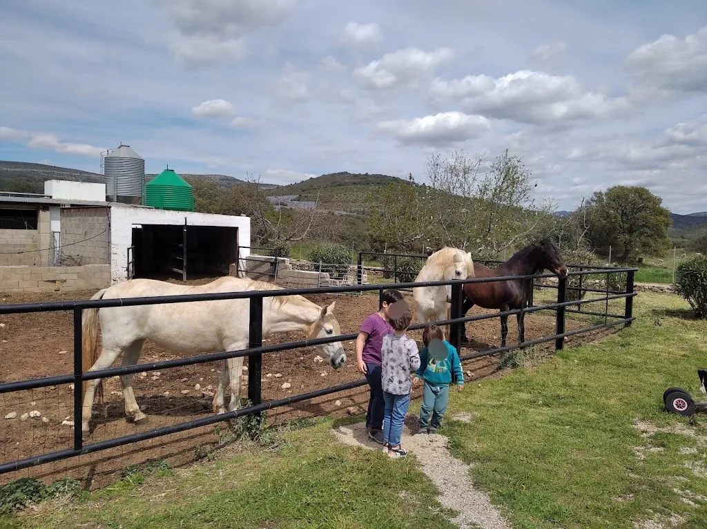 bmv335_Masia Els Masets_Torre dEn Besora la_review