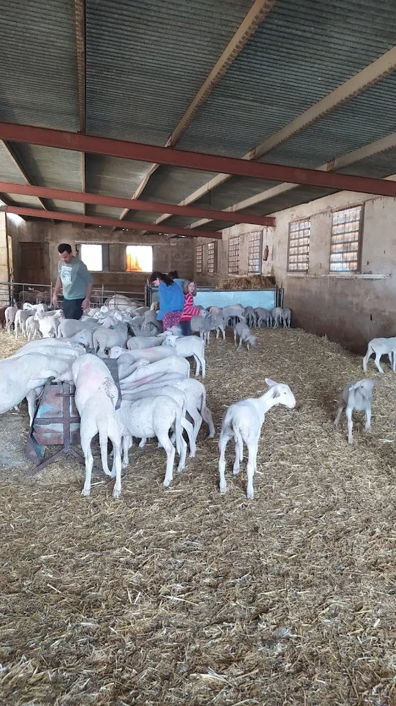 Sara Roca_Masia Els Masets_Torre dEn Besora la_review