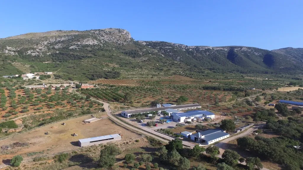 Masia Els Masets_Torre dEn Besora la_slider_image_2