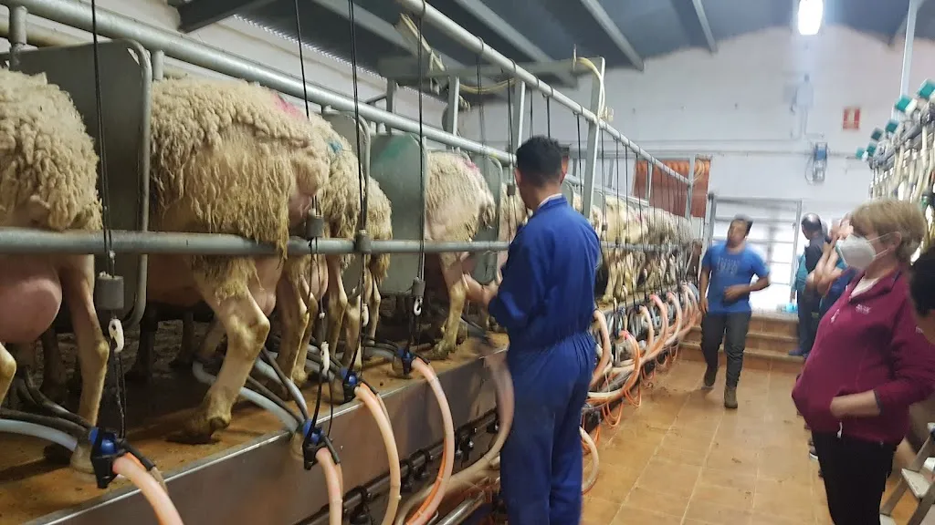 Masia Els Masets_Torre dEn Besora la_slider_image_3