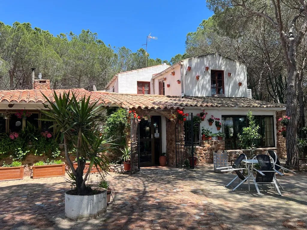 Emily Phuc Lu_Restaurante Pinar Ver_Vilafamés_review