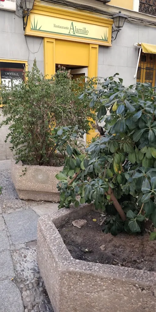 Victor Lausell_El Alamillo - Fonda Mexicana_Alamillo_recensione