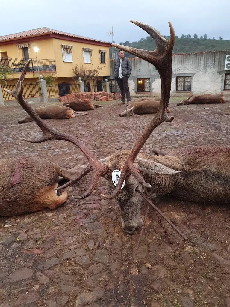 Jose Antonio Almorox_MonteCarlota Catering_Anchuras_recensione