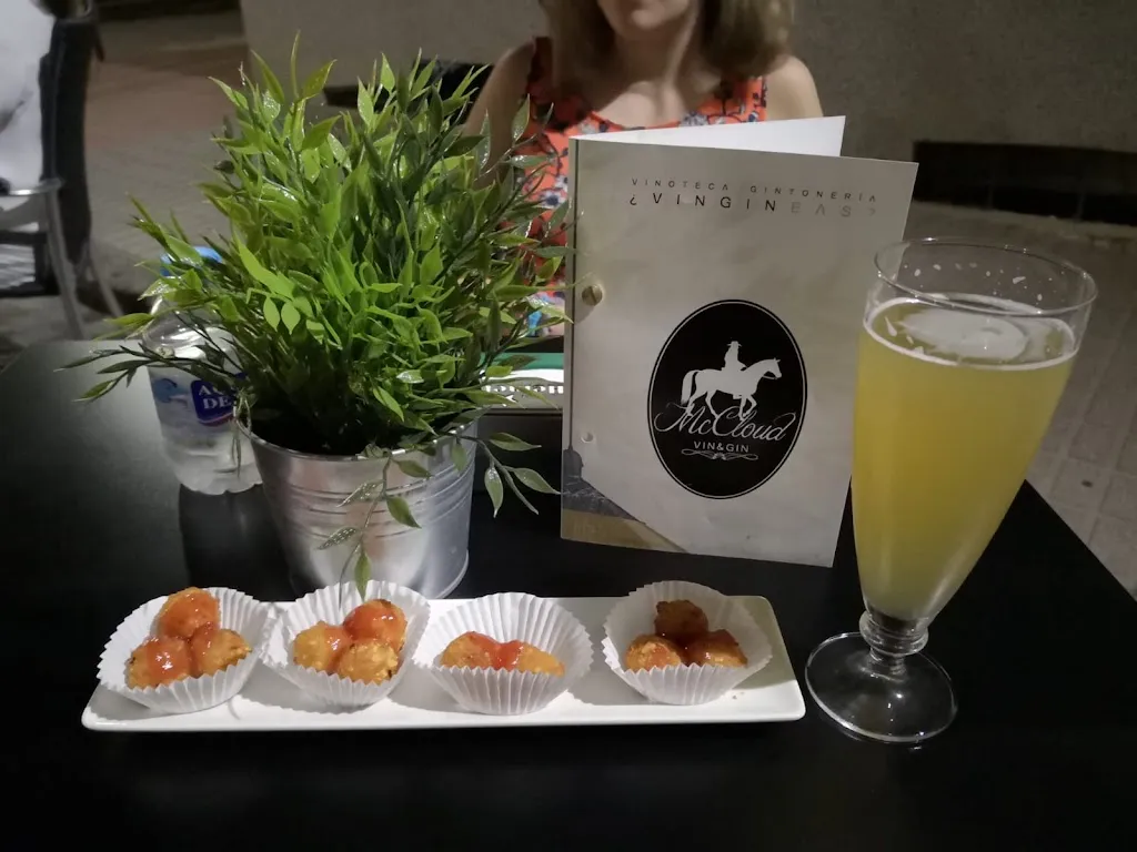 Menu_McCloud VIN&GIN_Almodóvar del Campo_image_7