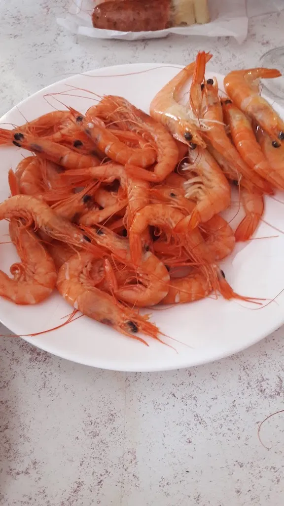 Menu_Bar The Bird_Almodóvar del Campo_image_2