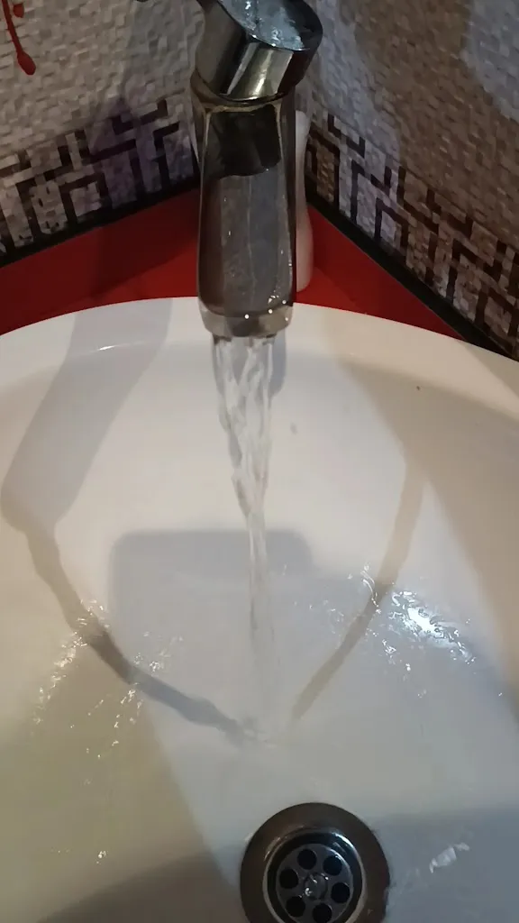 Monica Lucena_Restaurante los Olivos_Calzada de Calatrava_review