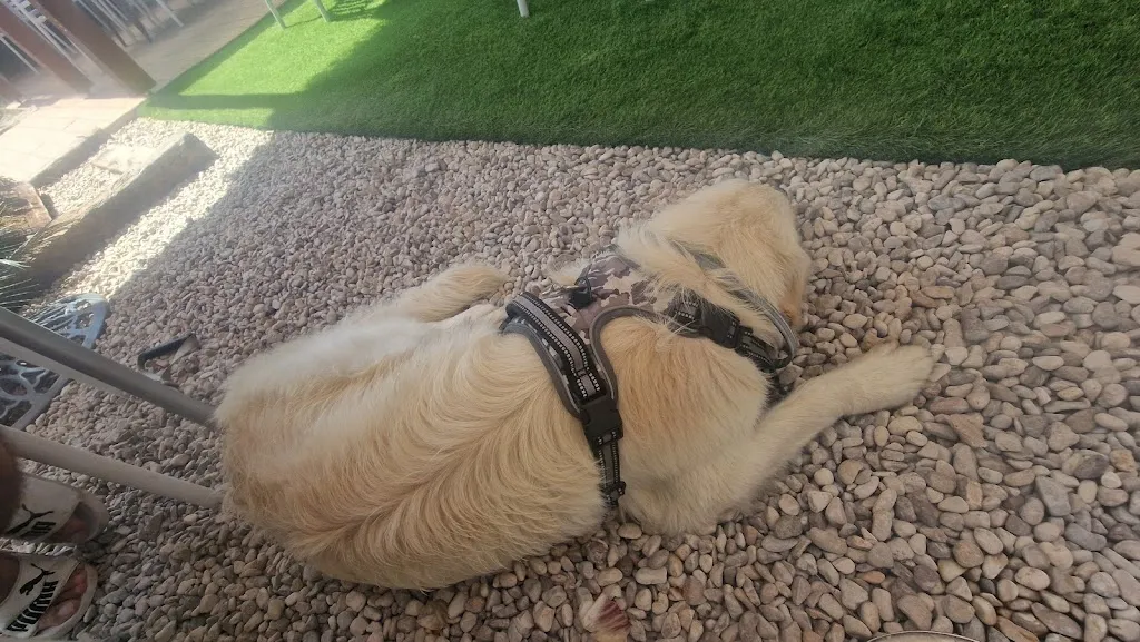 Rada Kalsi_Restlounge La Puerta Azul_Vinaròs_review