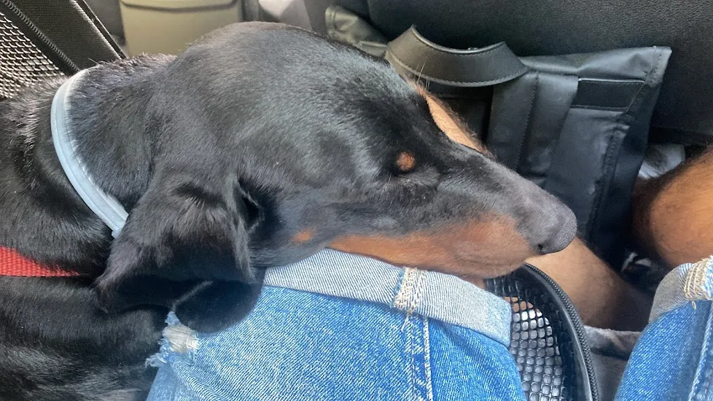 Daniel Borrego Escot_Restaurante Casa Alfonso_Montealegre del Castillo_review