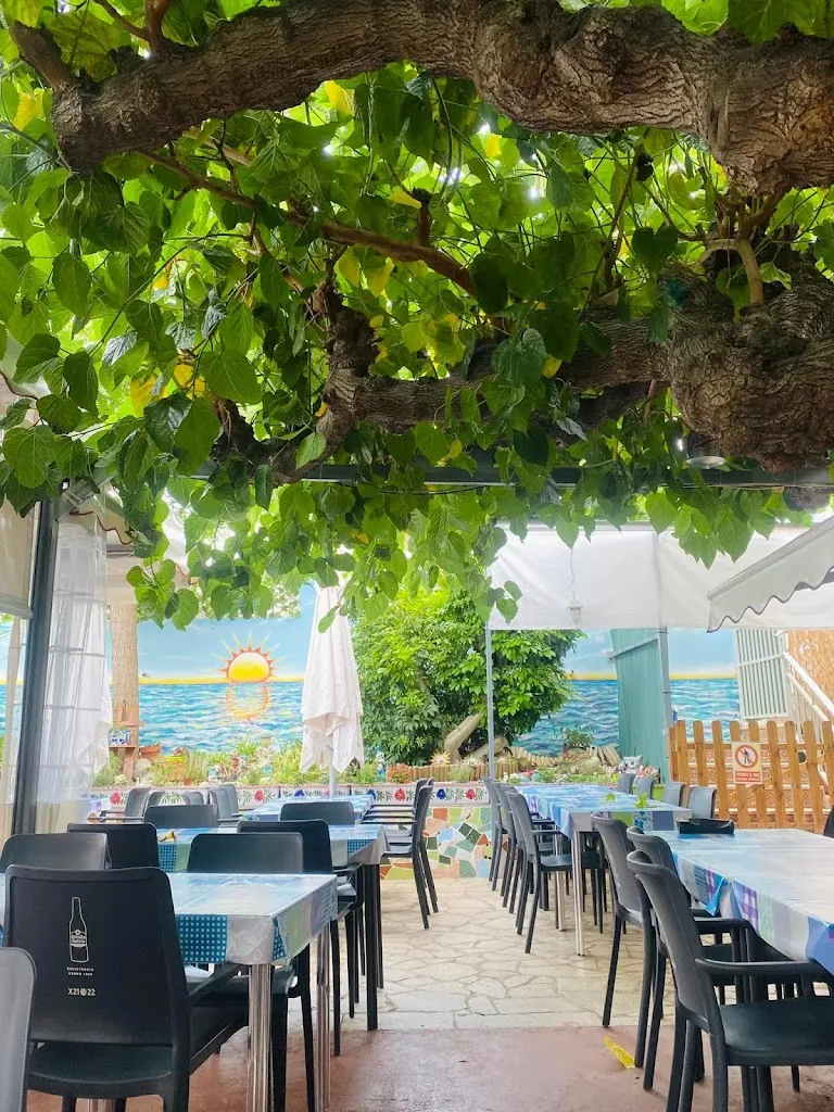 Terrassa Els Cossis_Vinaròs_slider_image_1