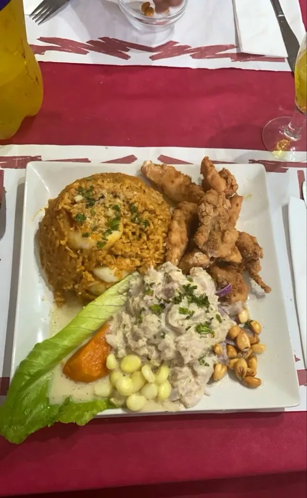 Roberto Burgos_Rincón peruano_Vinaròs_recensione