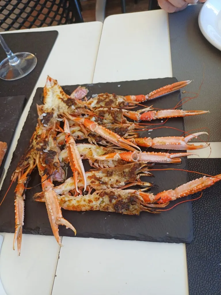 Carlos Nebot_Sursuncorda_Vinaròs_review