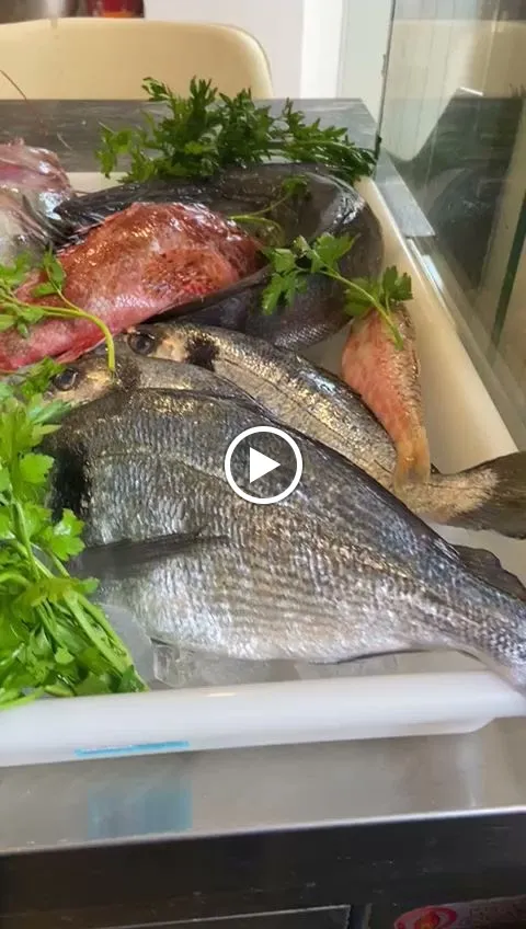 Sursuncorda_Vinaròs_slider_image_2