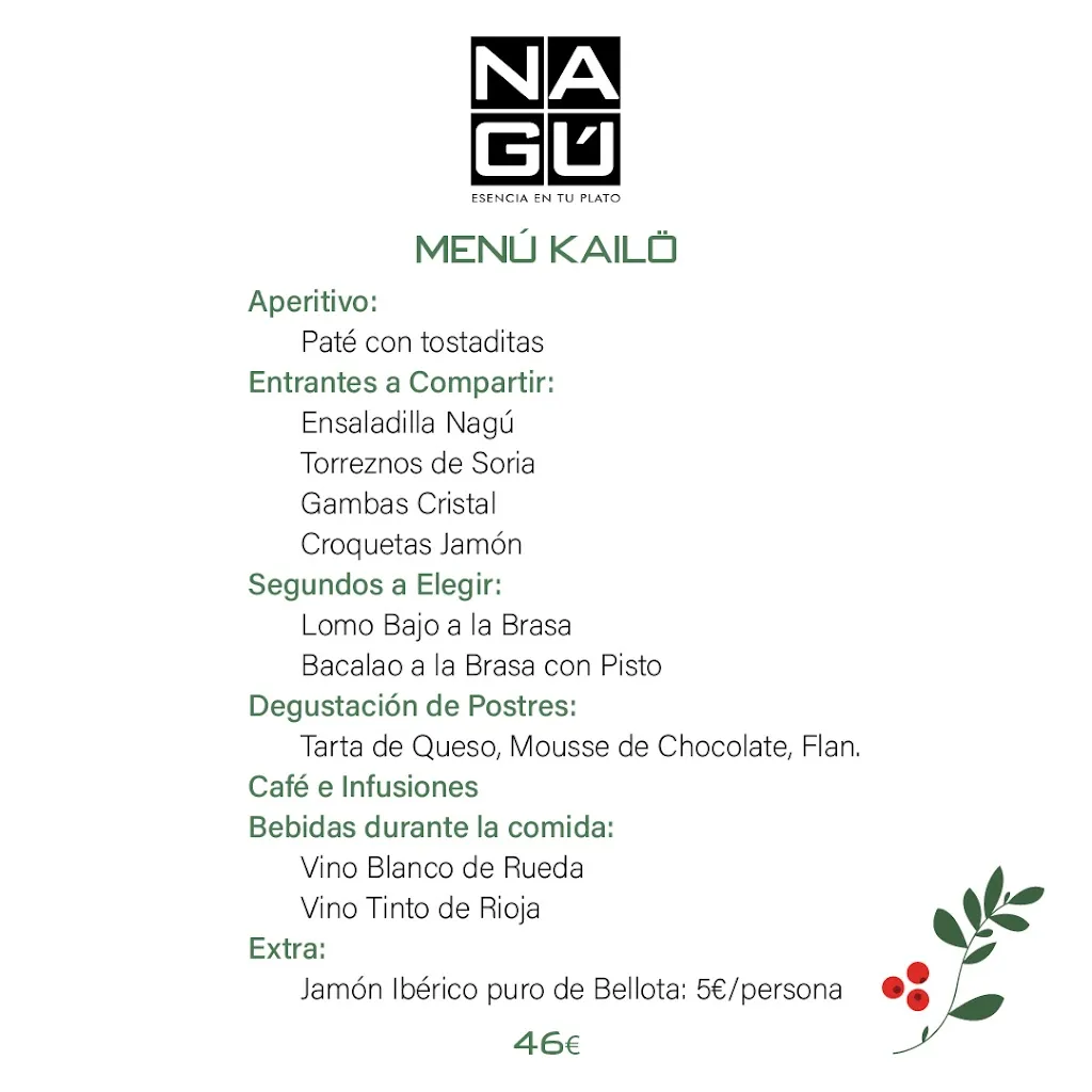 Menu_NAGÚ Restaurante_Fernán Caballero_image_4