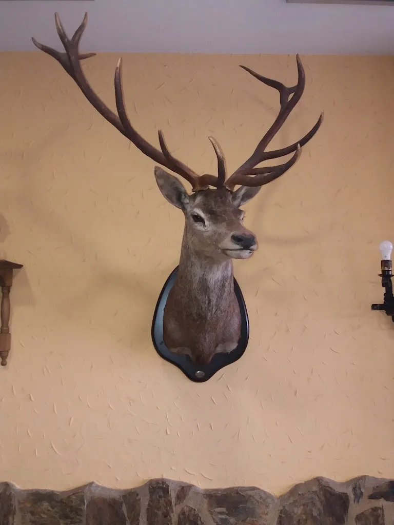 Victor D_Restaurante El Cortijo_Cortijos Los_review