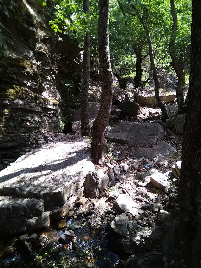 JOSE MANUEL_Restaurante de Marcos_Fuencaliente_Bewertung