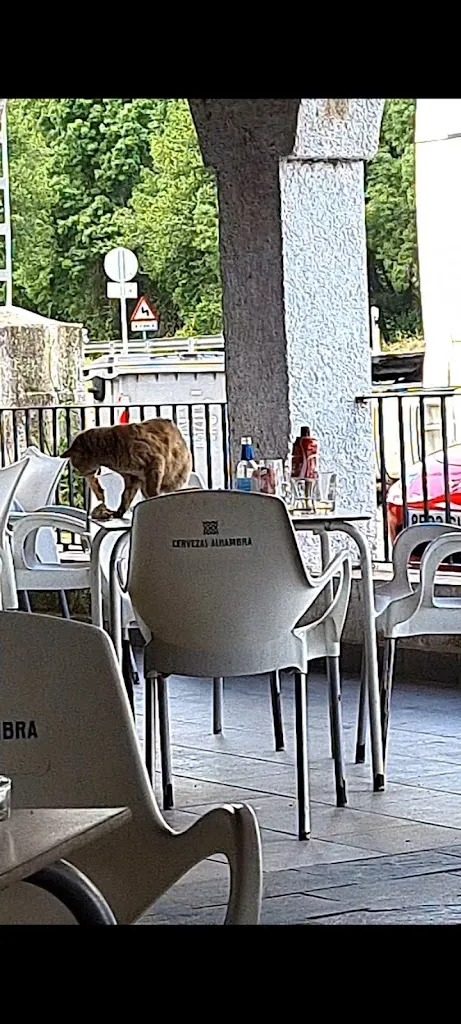 hector blanco vicente_Restaurante de Marcos_Fuencaliente_Bewertung