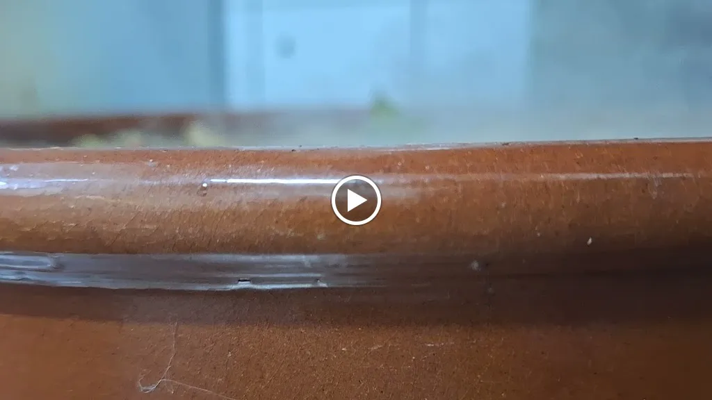 Bar Castillo gastrobar_Campo de Criptana_slider_image_2