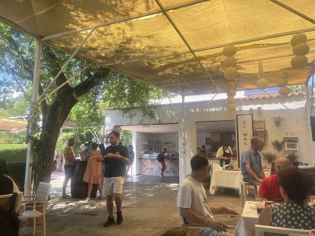 tiffany barrios_El Mal Querer_Molinicos_review