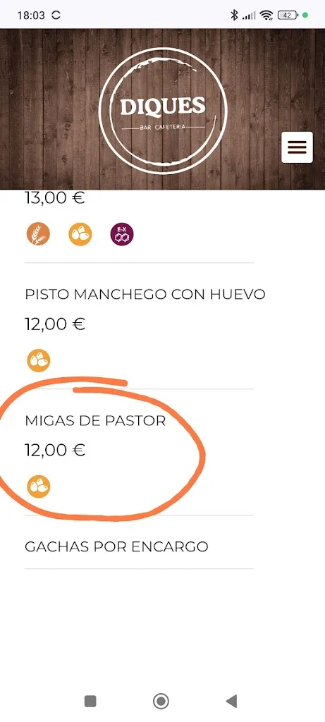 Santiago Romero Ruiz_Bar Restaurante Diques_Campo de Criptana_review