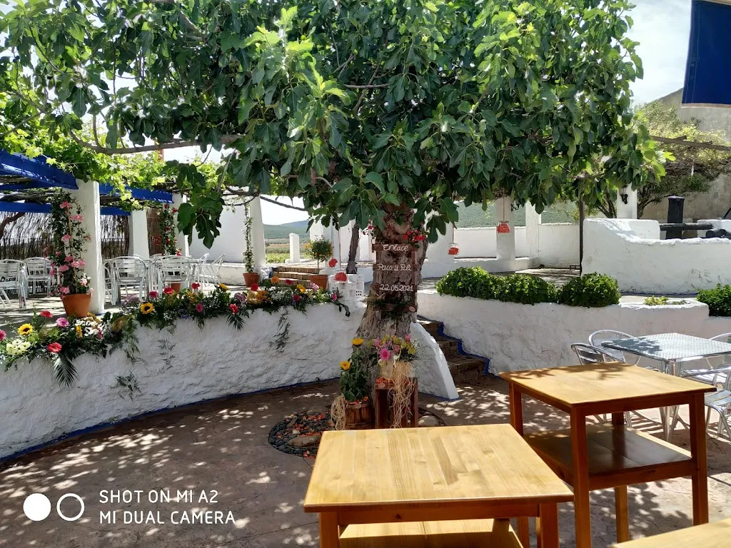 Aprisco de Puerto Lapice restaurant in Labores Las