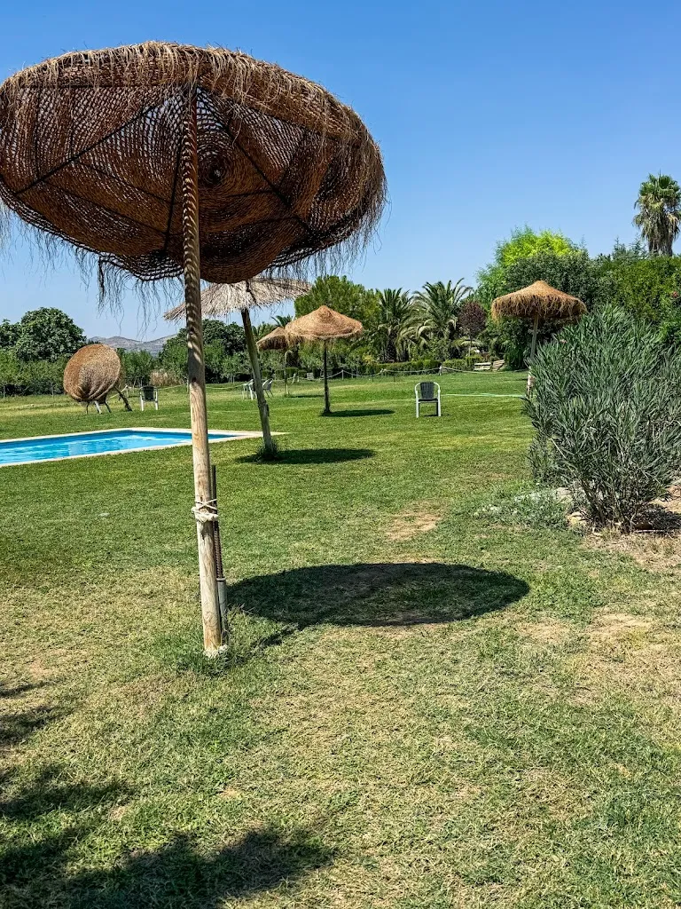 Jose Carlos Silva_Hotel Las Navas - Restaurante_Malagón_review