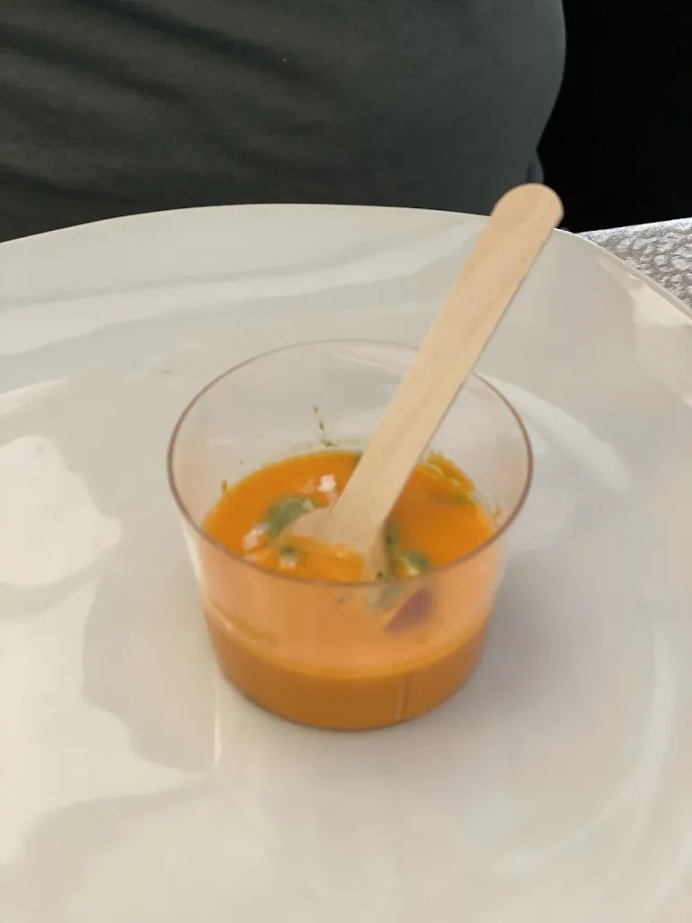 Anand Enebral_Espaten_Manzanares_review