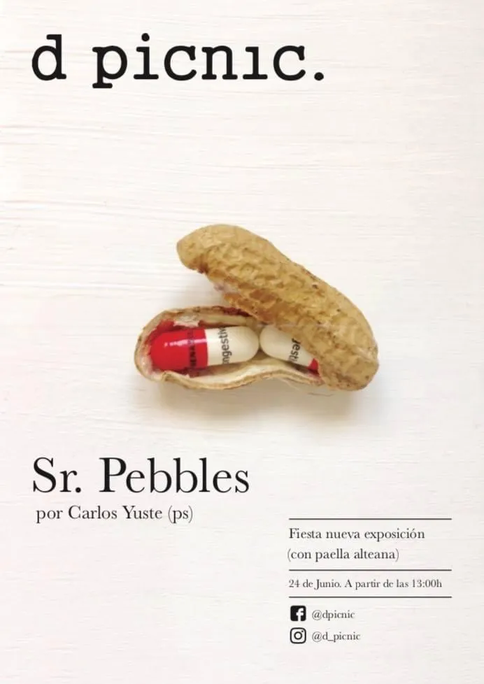 Menu_d picnic._Picón_image_2