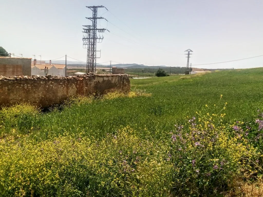 Restaurante Sahuco restaurant in Peñas de San Pedro