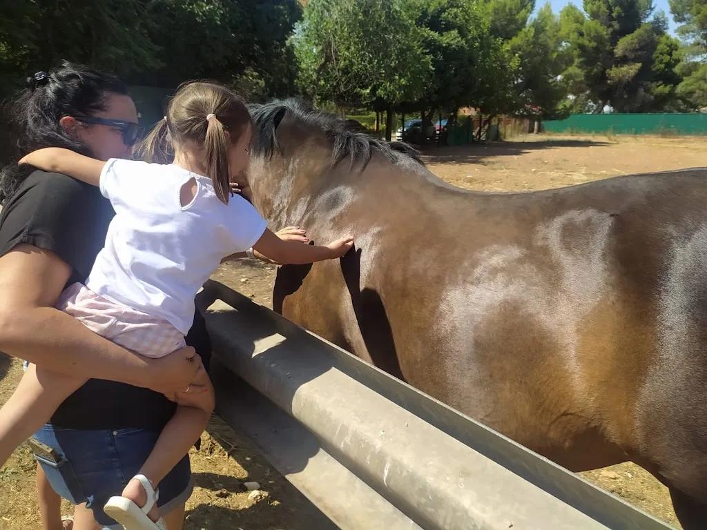 Cortijo la Frasca_Miguelturra_slider_image_2