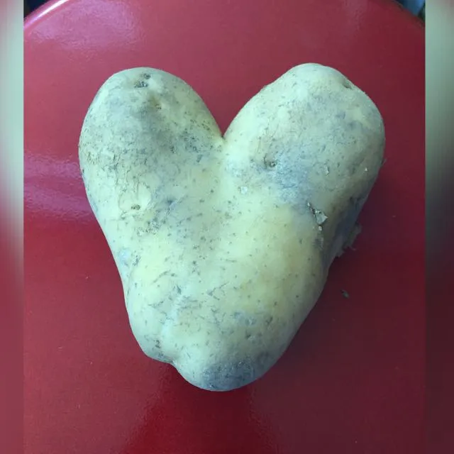 Menu_Patatas Asadas Javi_Miguelturra_immagine_1