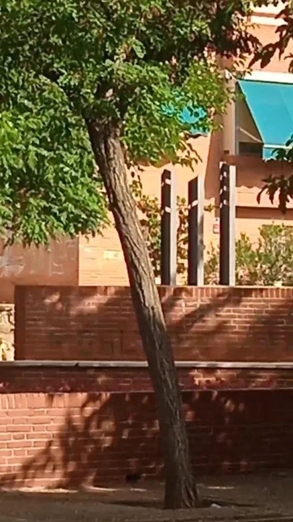 DAIMIEL_Daimiel_slider_image_2