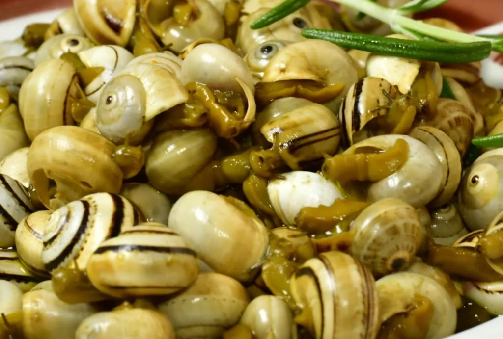 Asador San Pedro_Asador San Pedro_Daimiel_review