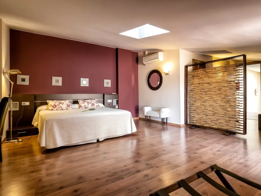 Hotel Doña Manuela - Hotel en Daimiel_Daimiel_slider_image_3