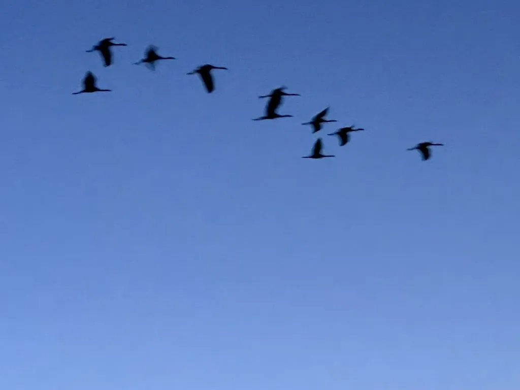 Saida Davis_Apartamentos Los Flamencos Daimiel_Daimiel_review