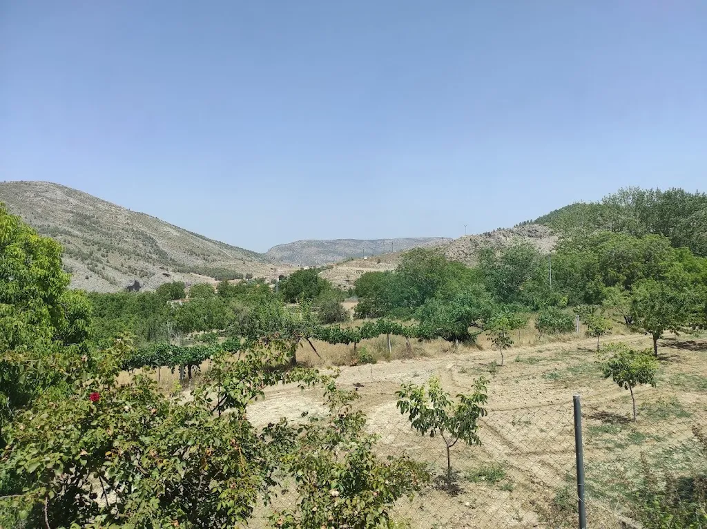 Ronen Zlotogoura_Camping las Nogueras Nerpio_Nerpio_review